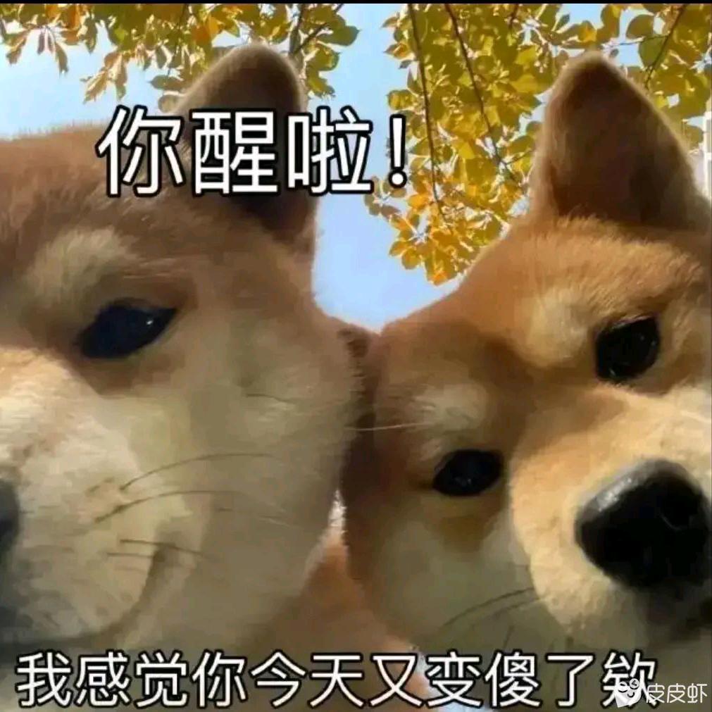我本善良⊙∀⊙！
