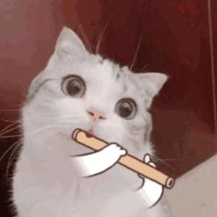 是臭贝贝了呢
