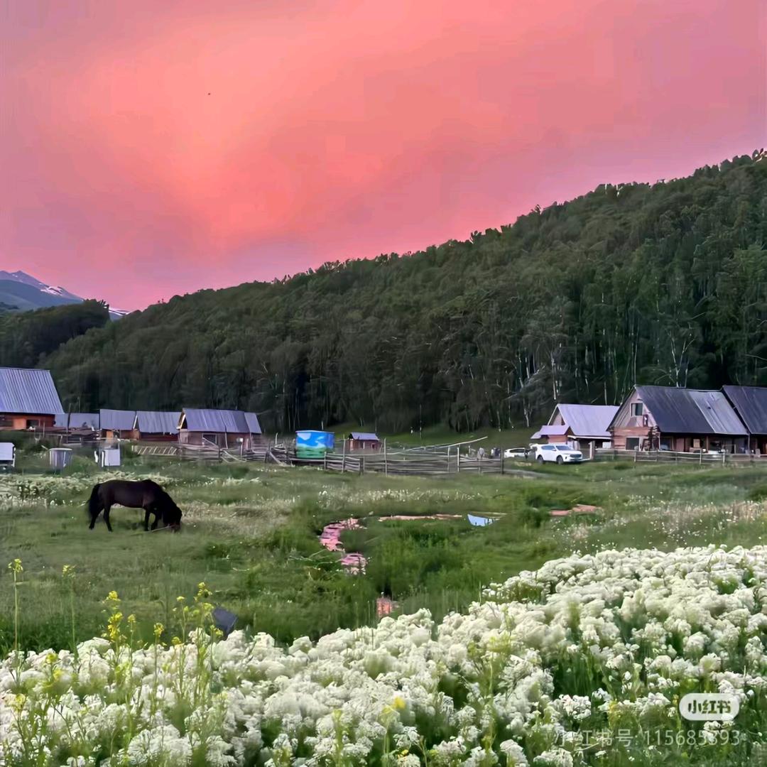 静若繁花