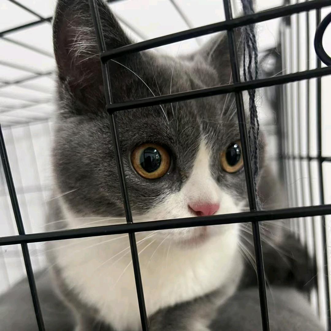 💞