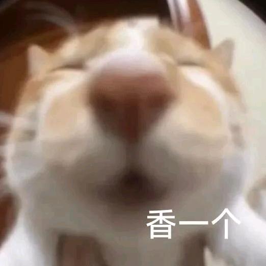 我要吃饭