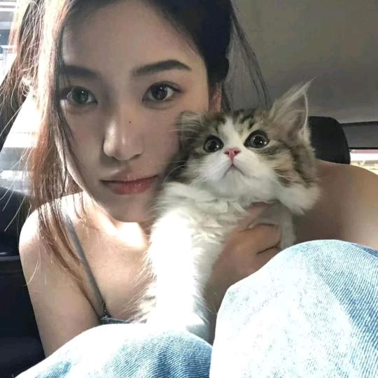 ✨拾玖