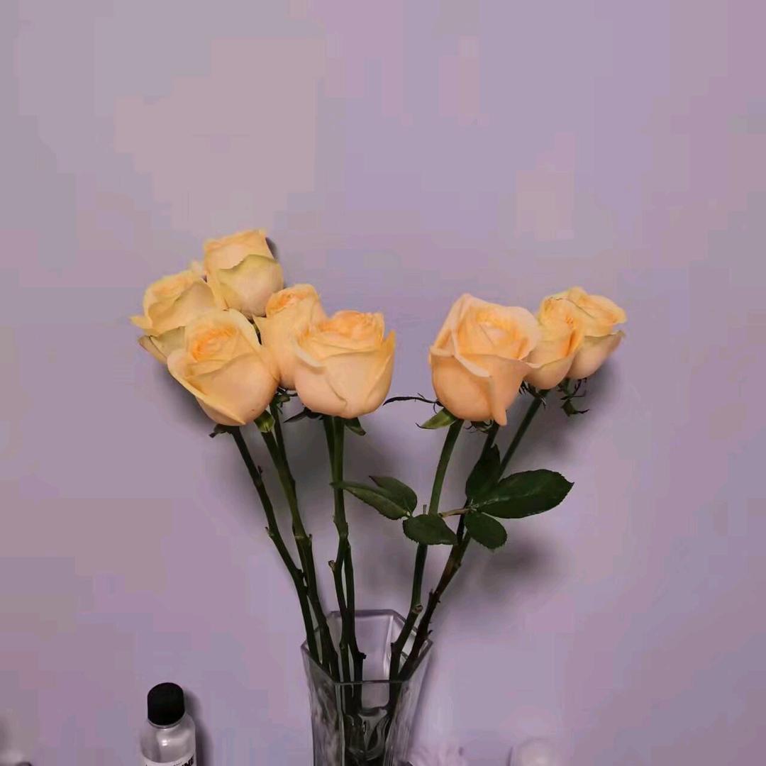 呀5就你啊