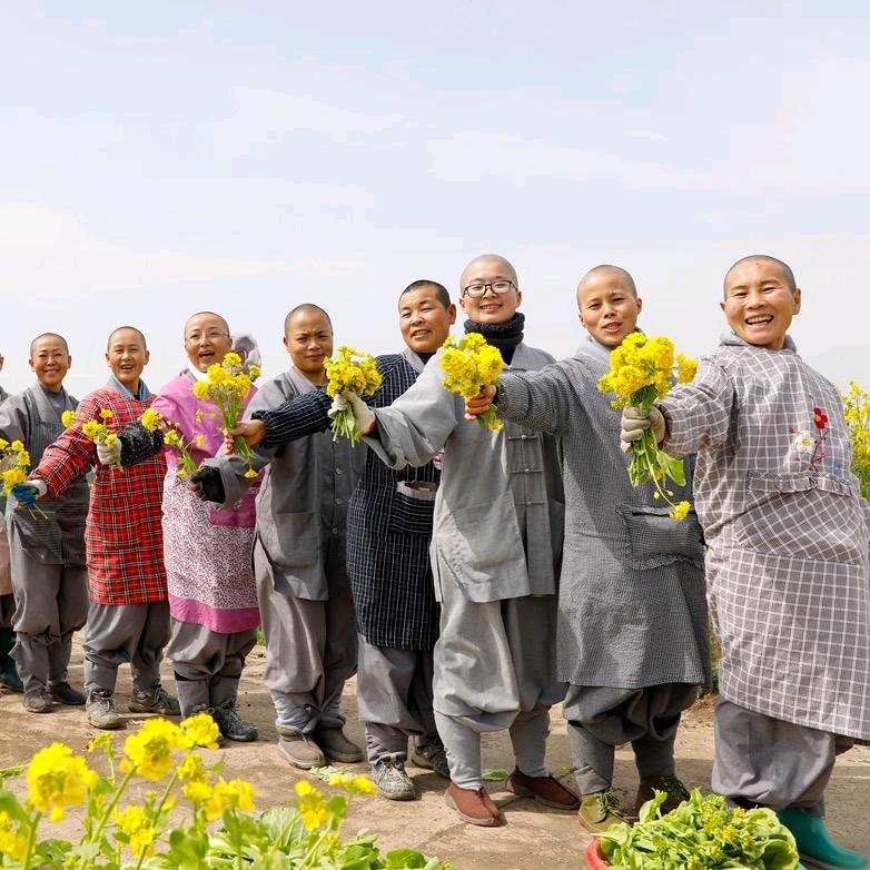 师父们的僧活感悟（禅旅之路）
