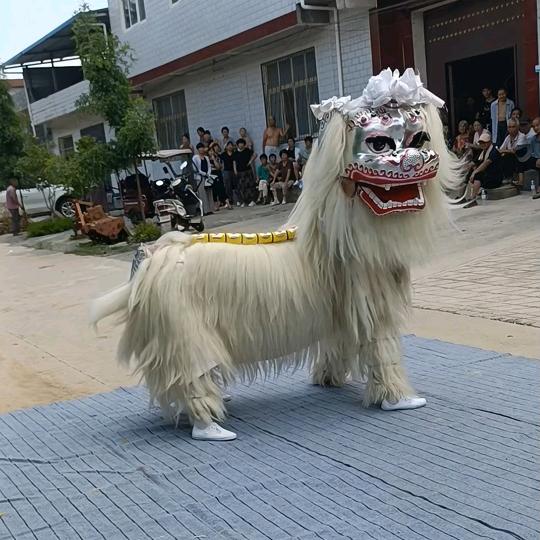 平顶山飞龙舞狮团 彦磊