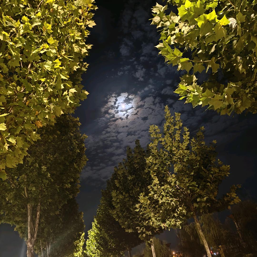 山海终成弃