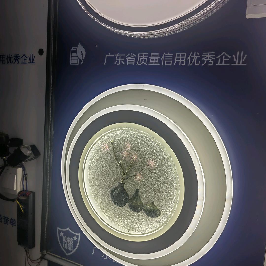 红英