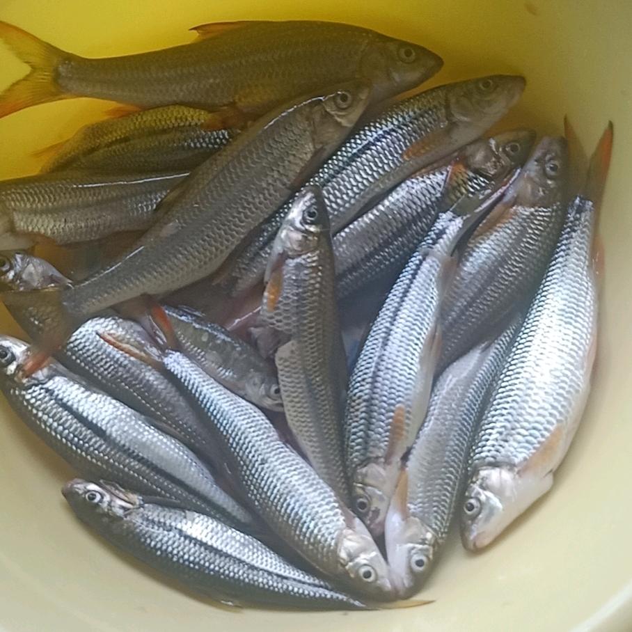 带你去看海