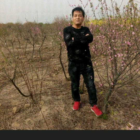 🎉思念成沙《5点直播》