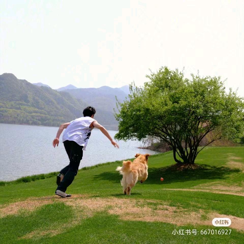 就叫小胡吧