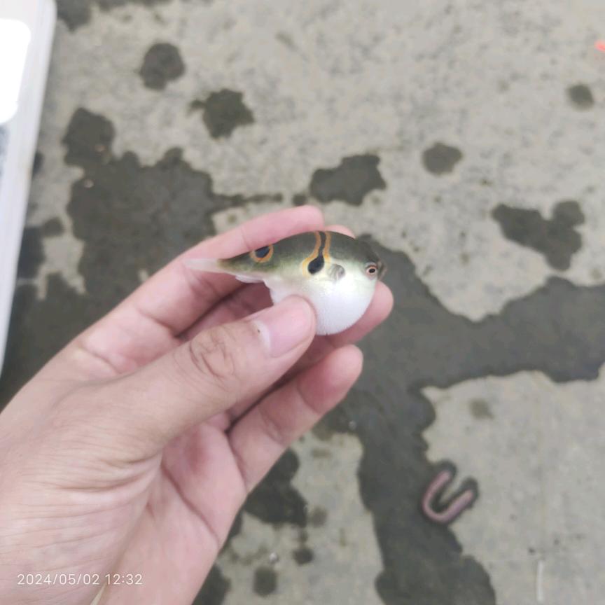 @鱼丸粉丝没有鱼