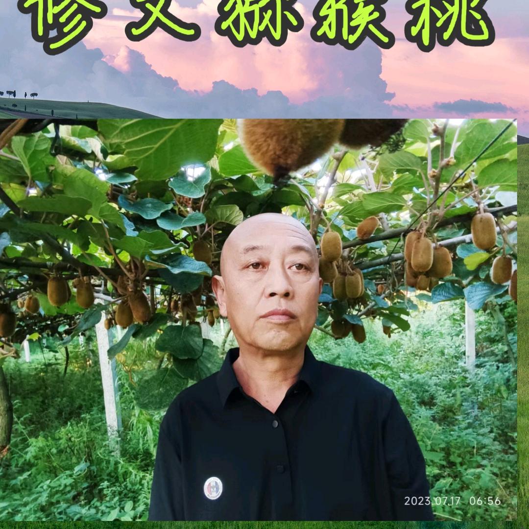 罗氏果品