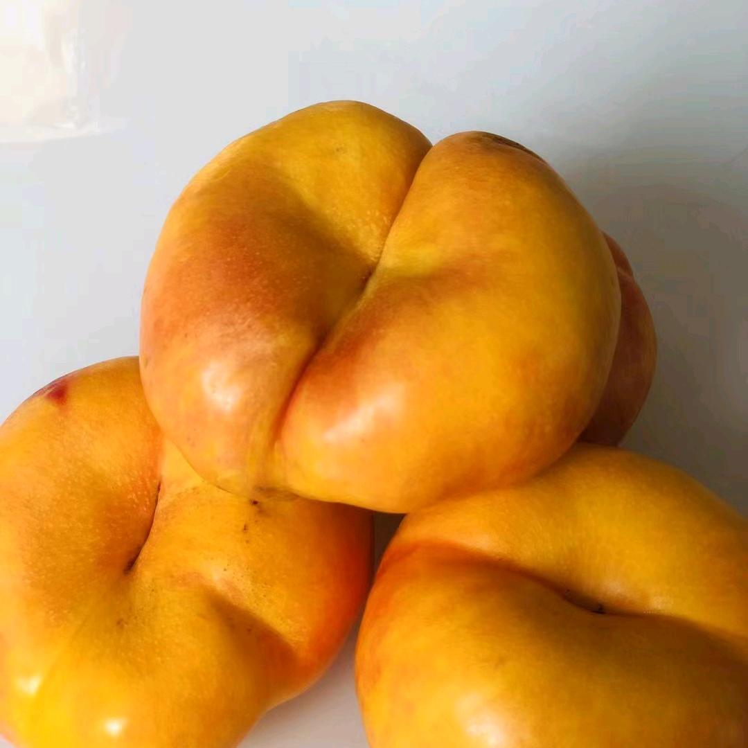 老王家的桃子平谷三农