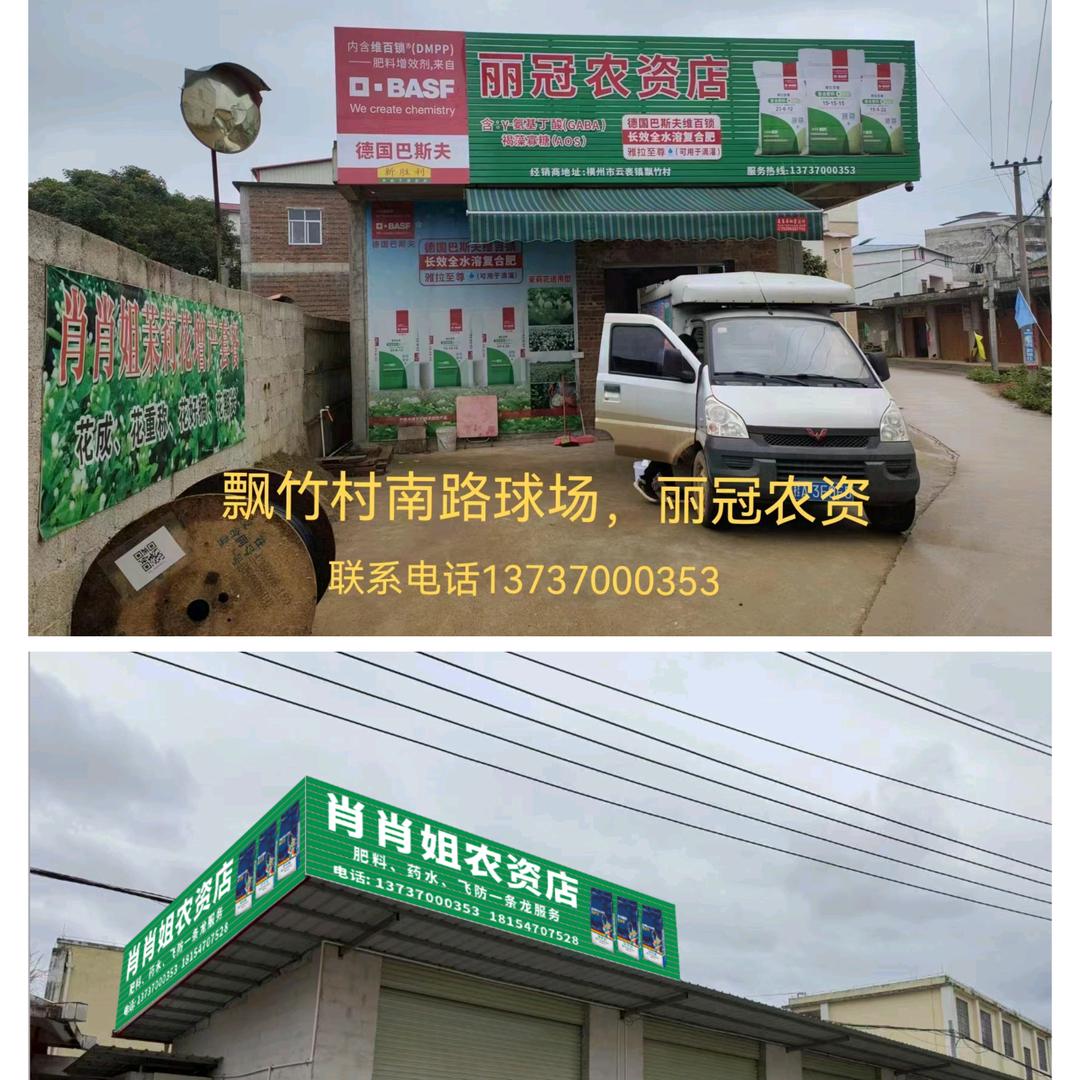 肖肖姐