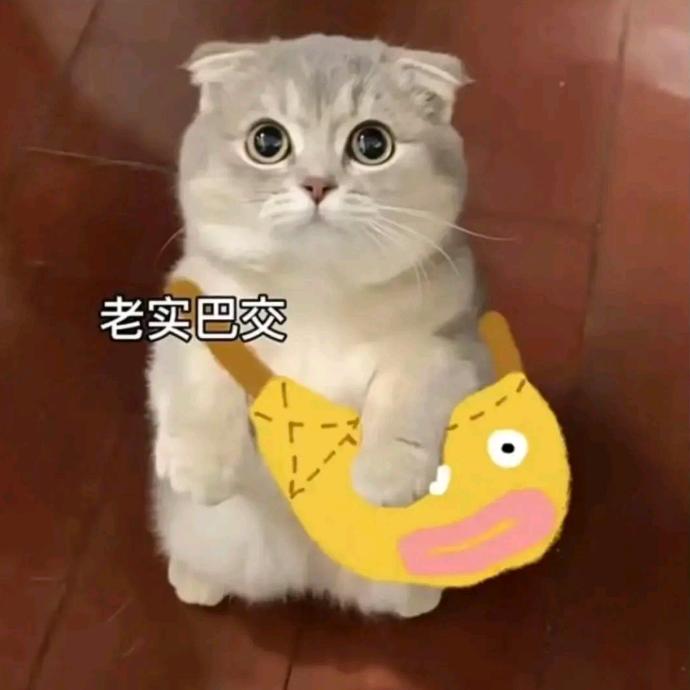 成分护肤陈圆圆