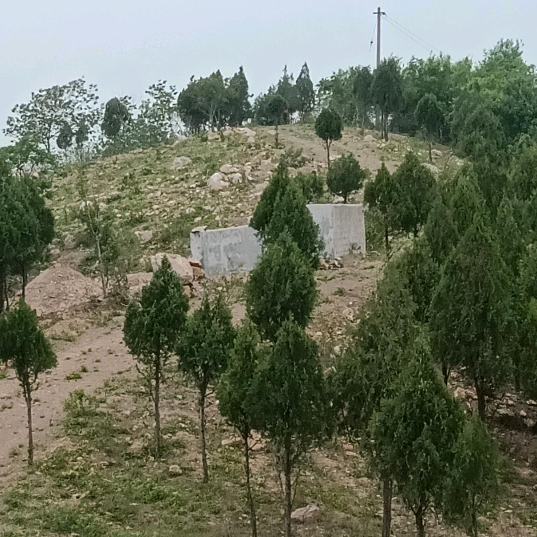 ！无言的结局kk93d0