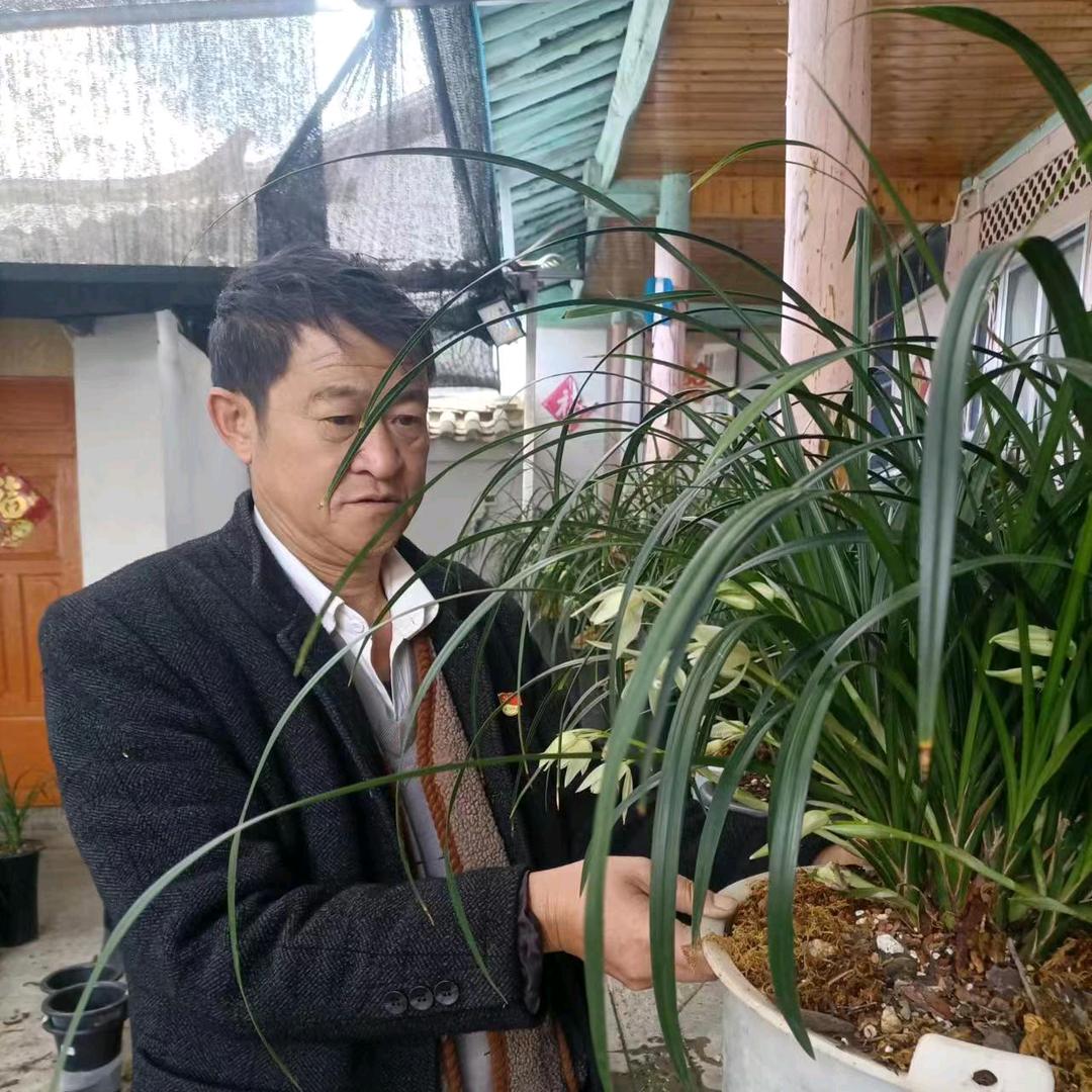 大雪素之家