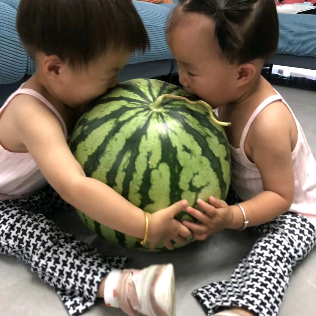 阜阳美都西瓜王掌柜 （鲁光农膜）