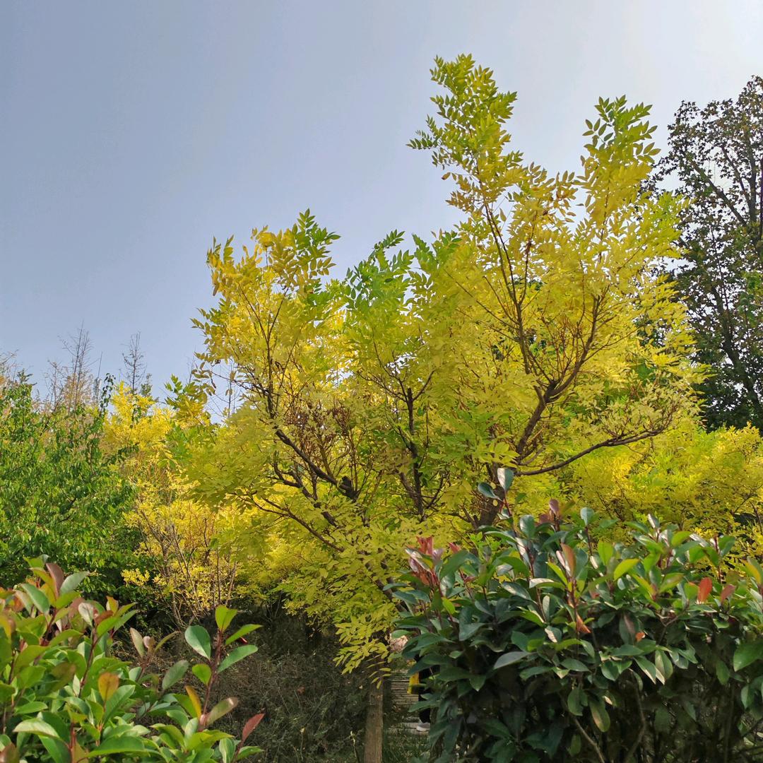 相逢何必曾相识