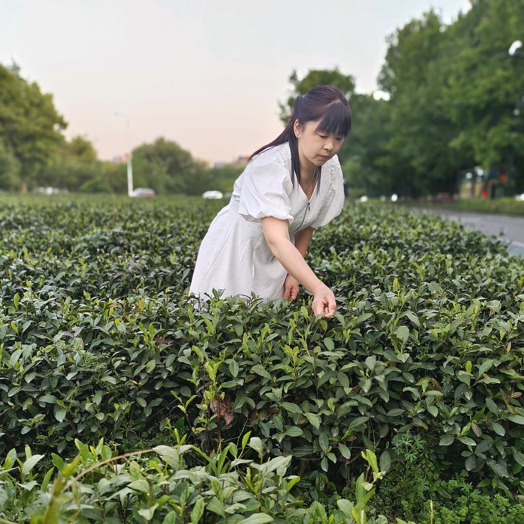 骏马面前无沟壑
