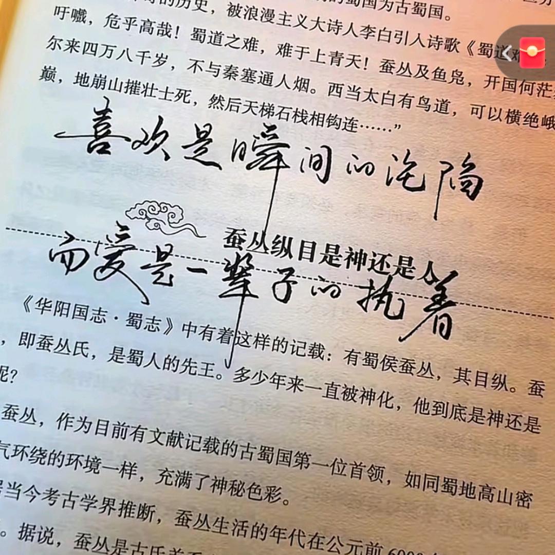 爱情大姐🌻