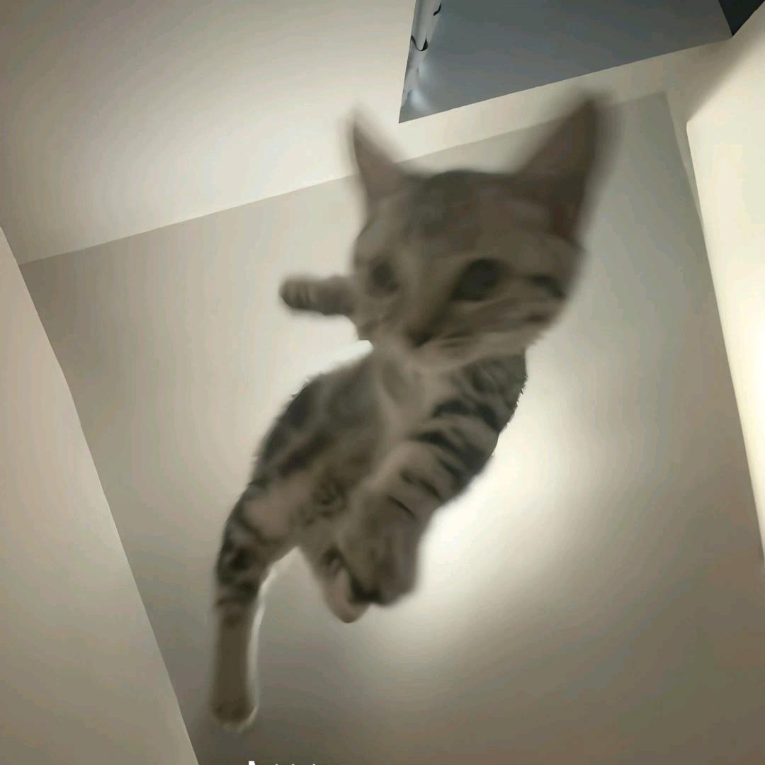 倒车问路压耗DWHhhhh