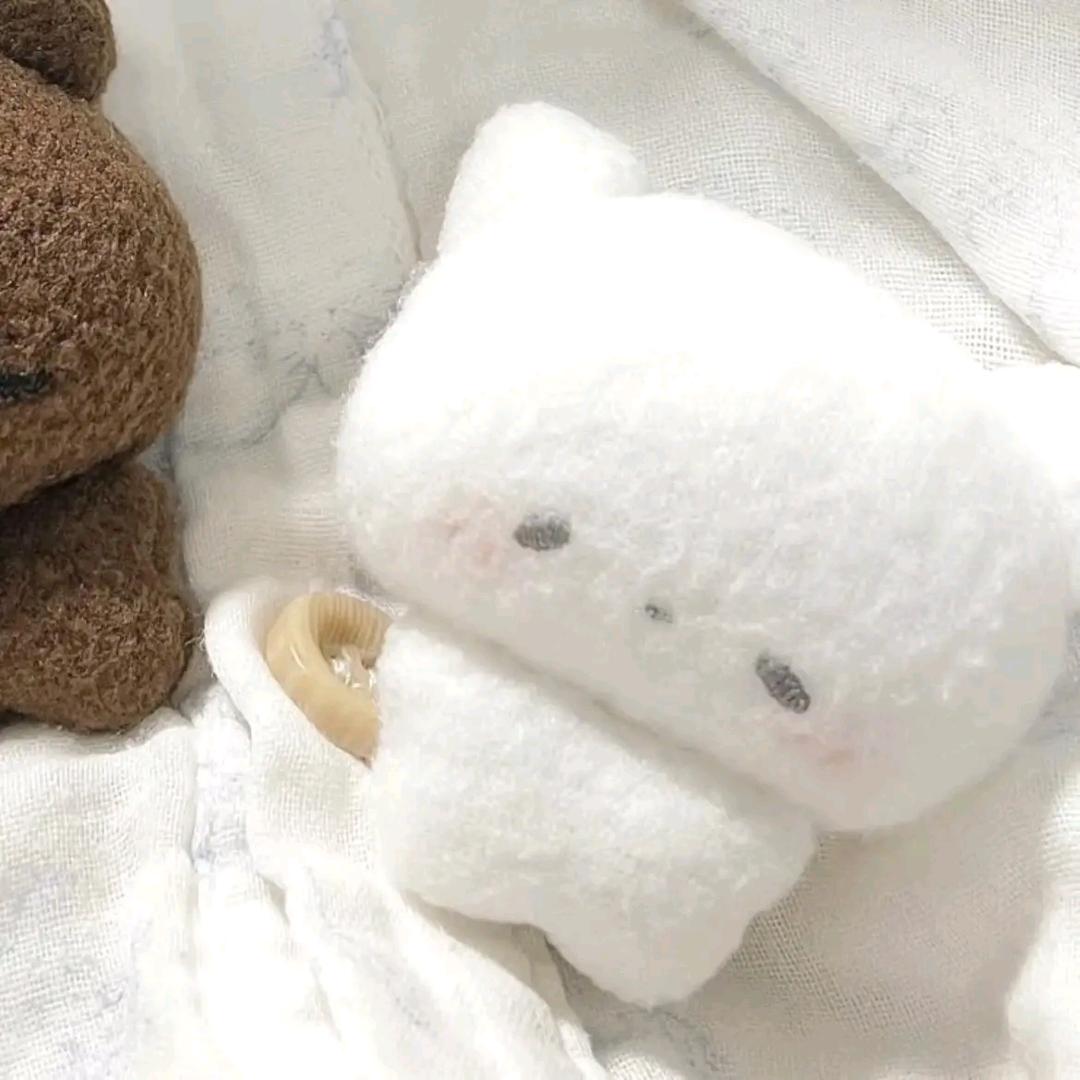 白化海