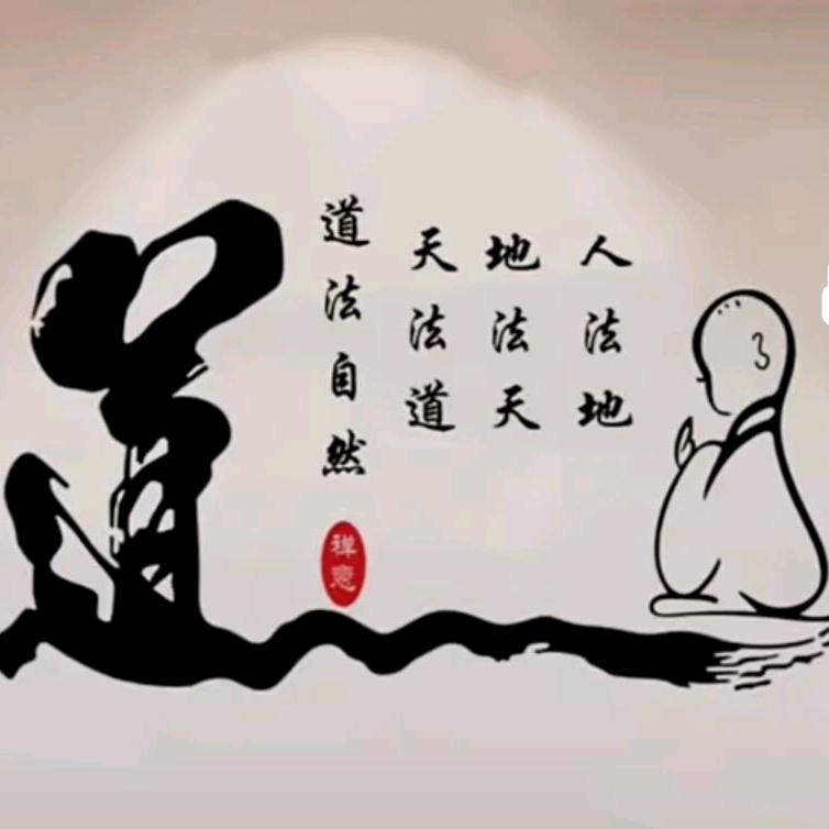 惢森305