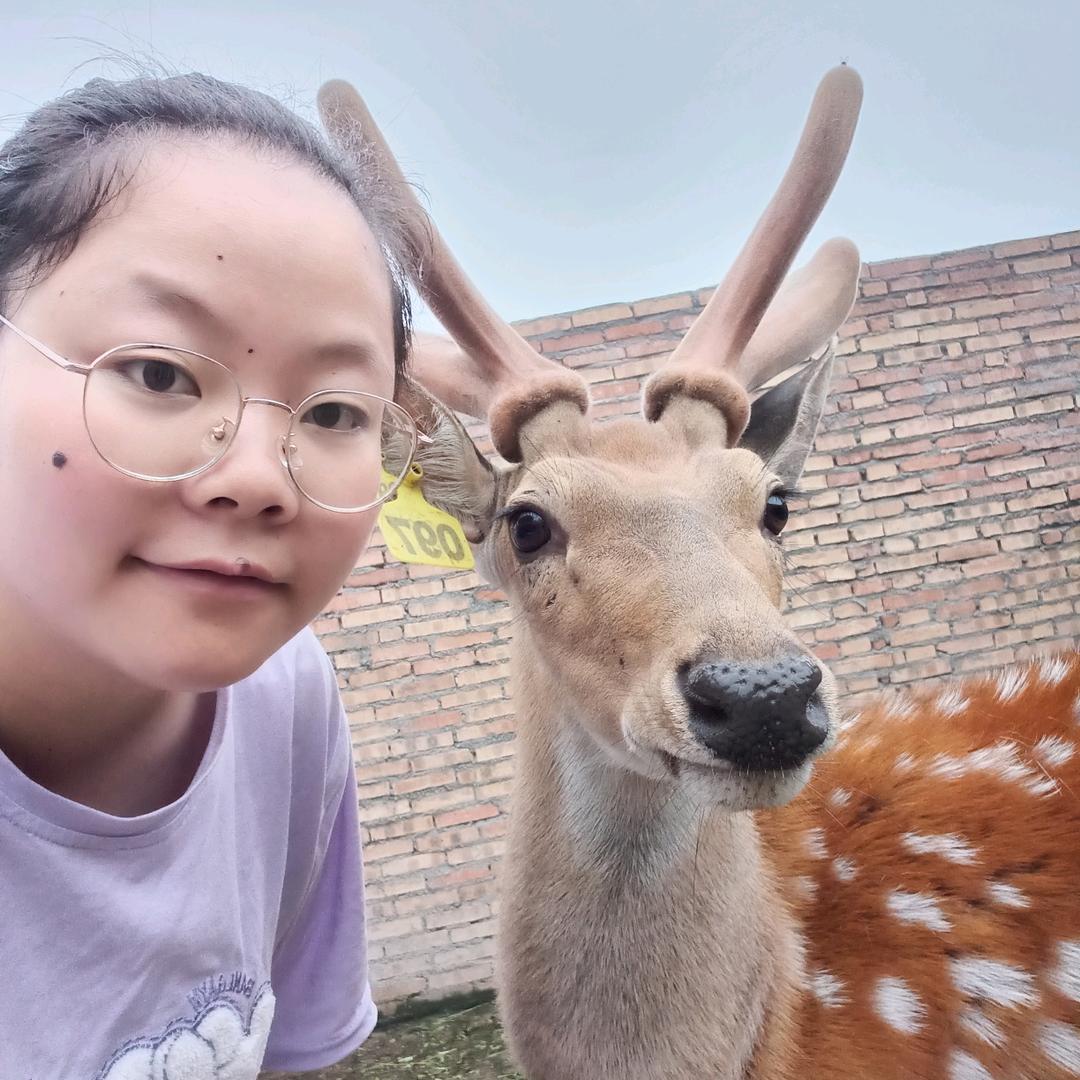 养鹿的小梅