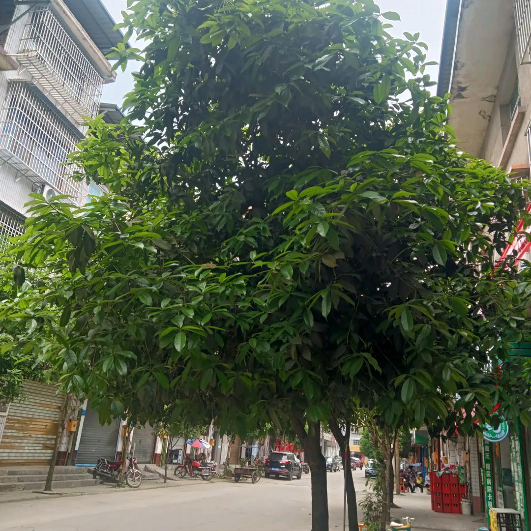 好心情