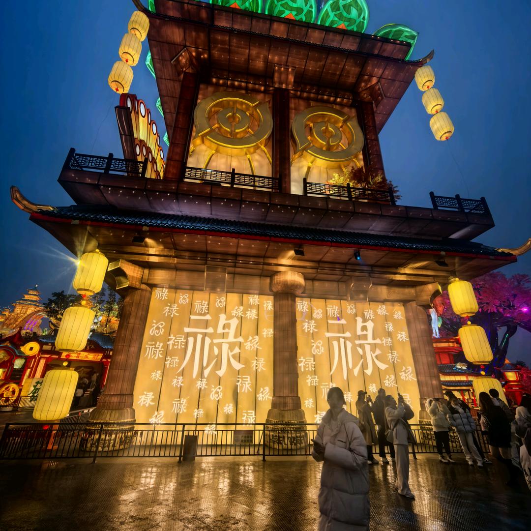 太阳花
