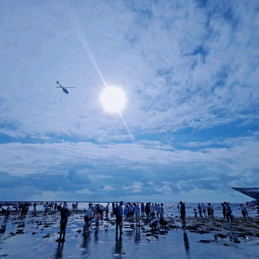 反派冷酷小狗🐶