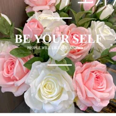 番茄不炒蛋ʚʕ̯•͡˔•̯᷅ʔɞ: