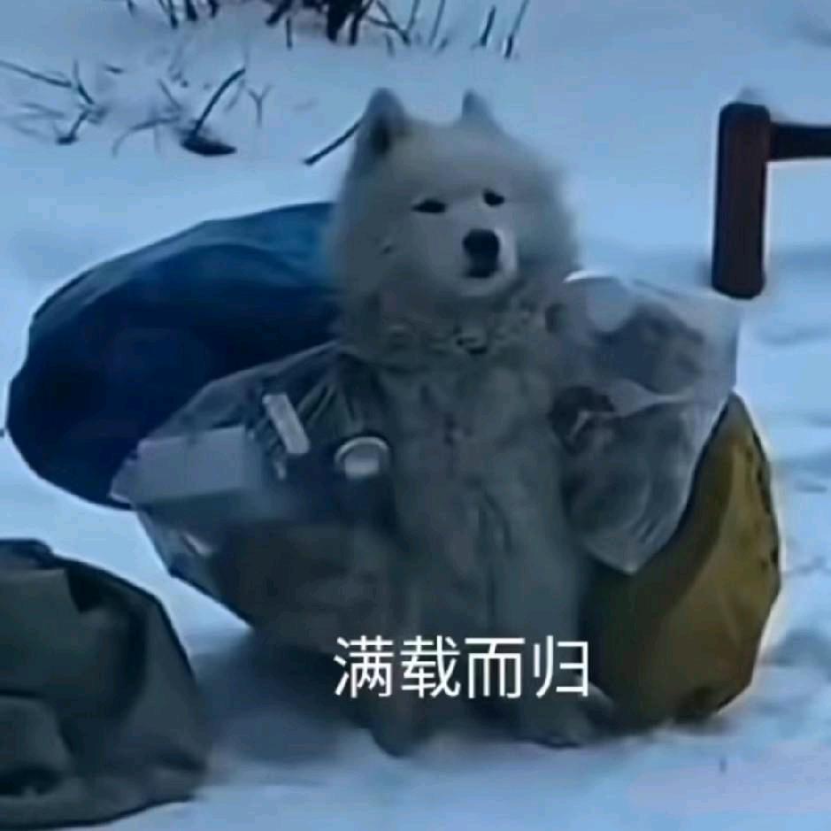 一起吃宵夜啊