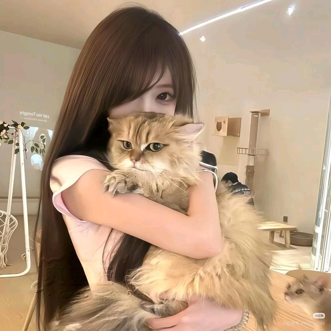 yjy