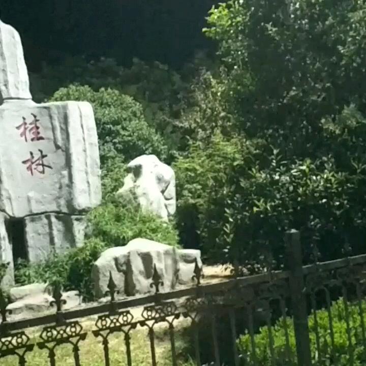林州桂林