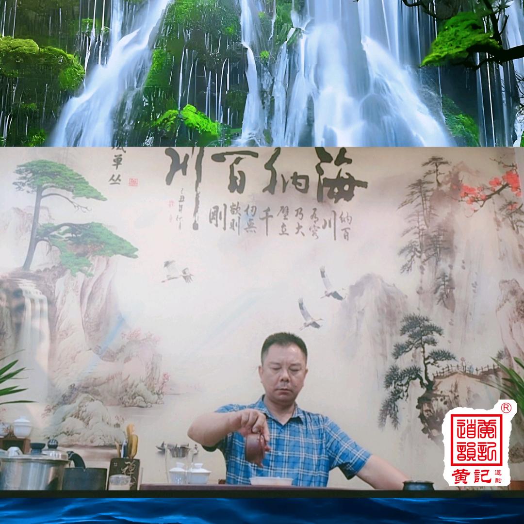凤凰单丛茶 仓储批发  潮州凤凰镇 黄记
