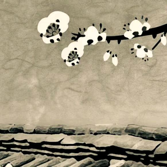 琰墩墩
