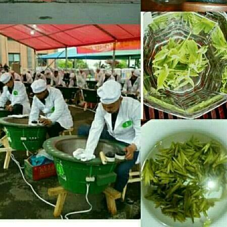 东坞龙茶叶