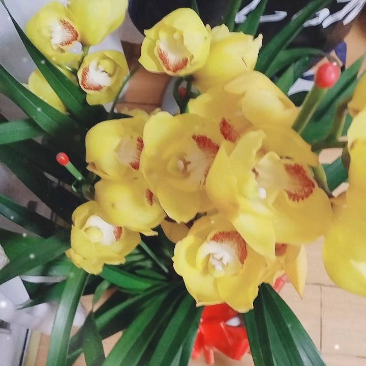 东临赢台。