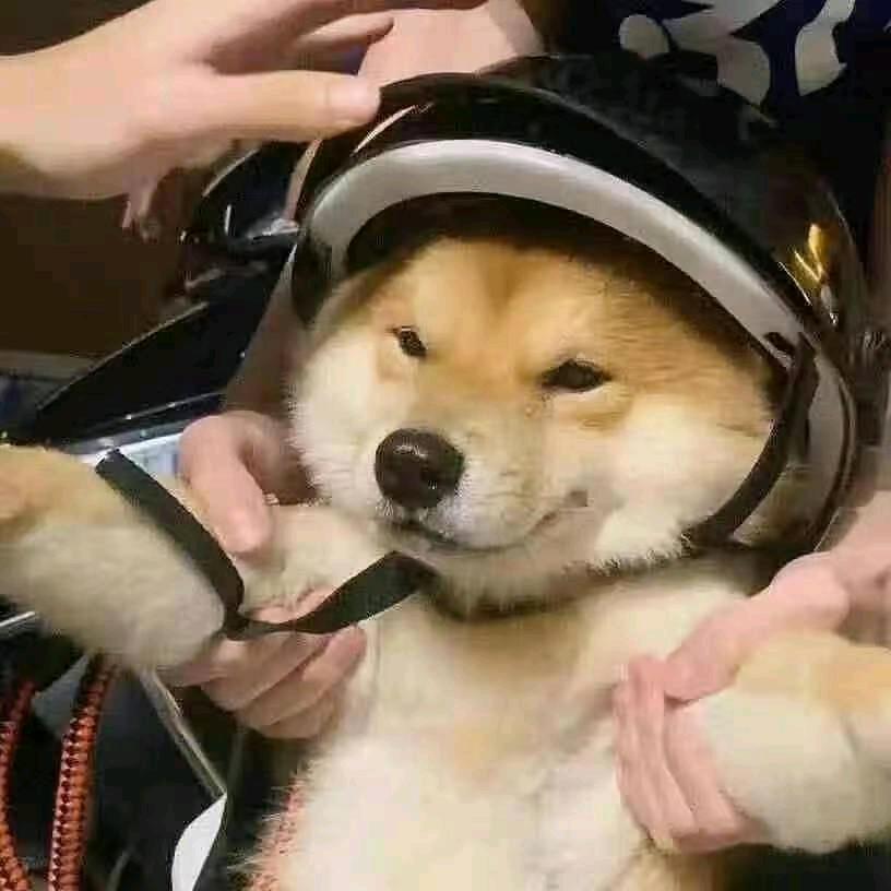 天生（三角洲跑刀）