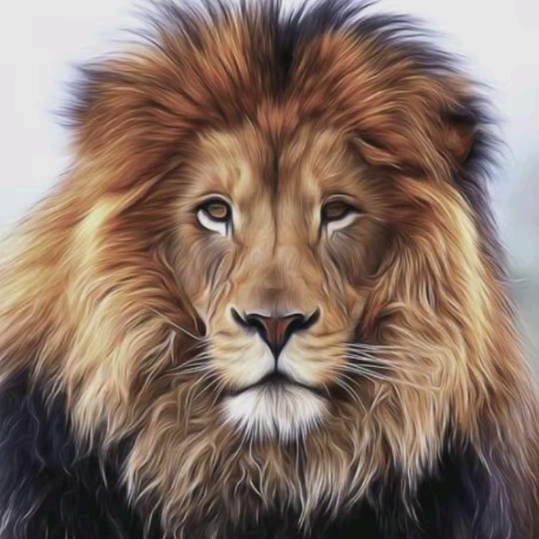 桃源县最後一個老實人࿐