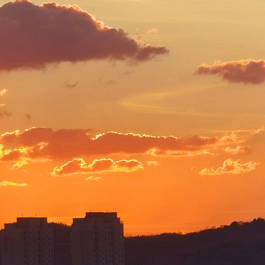 科学星探