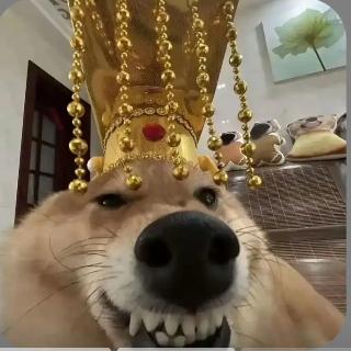 用户3531852177698大展宏图