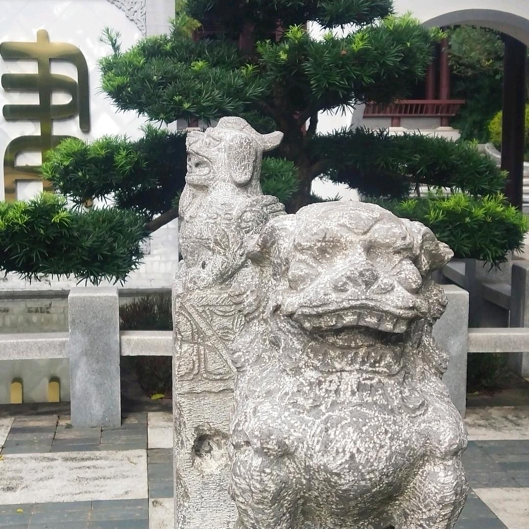 南宁无人机拍摄