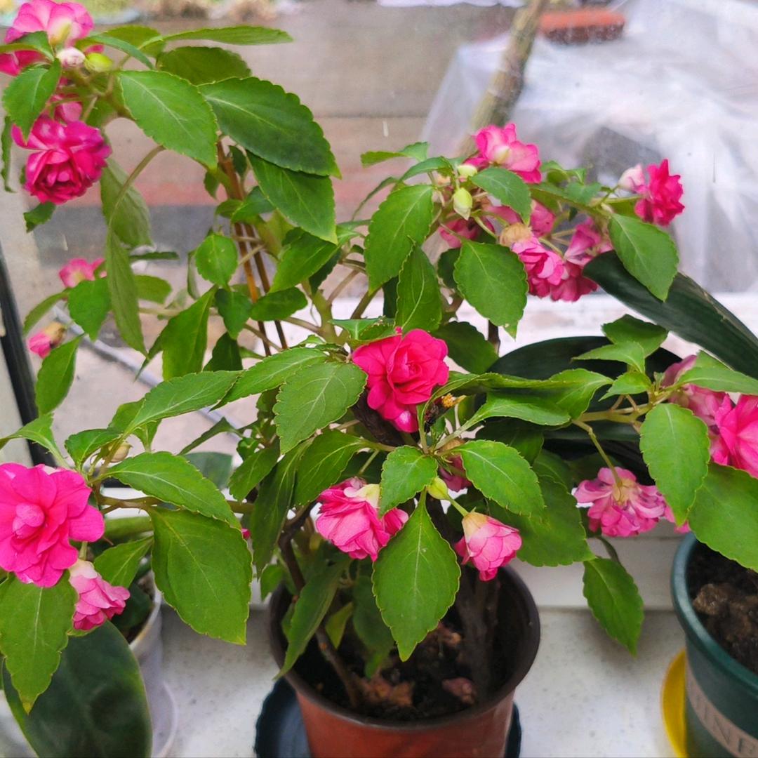 沁元龙火锅烧烤食材店