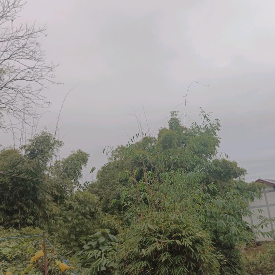 空明