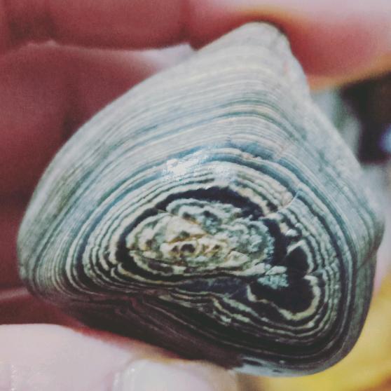 昵称已重置祝大家2025年心想事成！