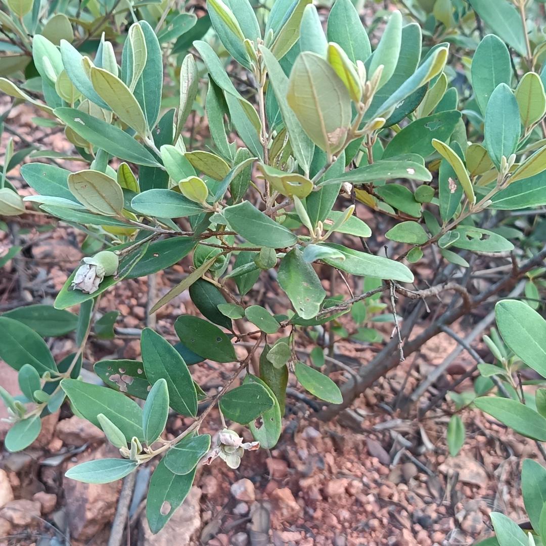 萍d