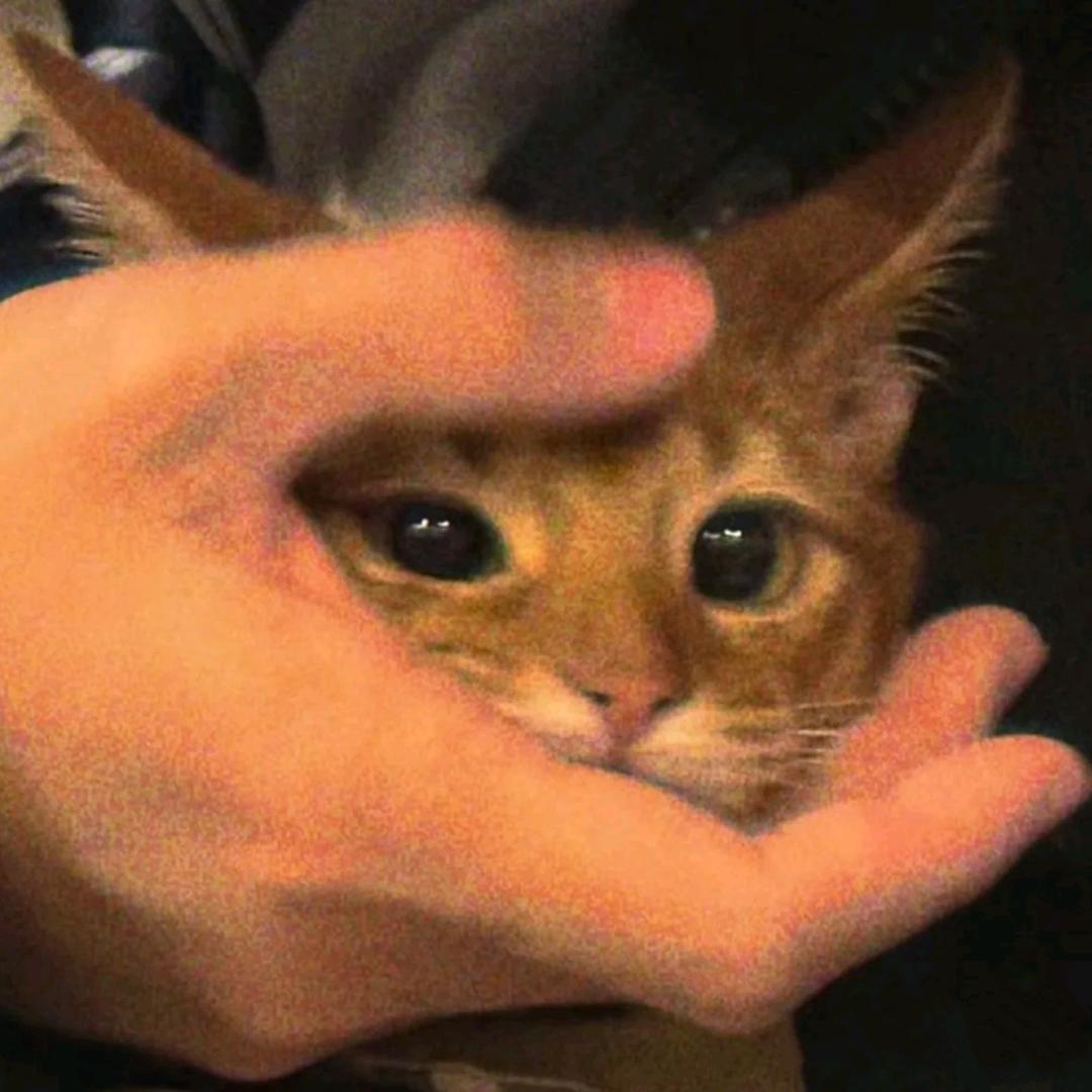 我不是满月